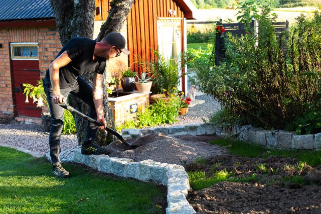 NYA RABATTER. Fredrik fixar till en rabatt för liljor och kaktusar. Med återbrukad kantsten skapas en form som sedan fylls med lager av tidningspapper. Därefter fylls den med ett tjockt lager av jord.