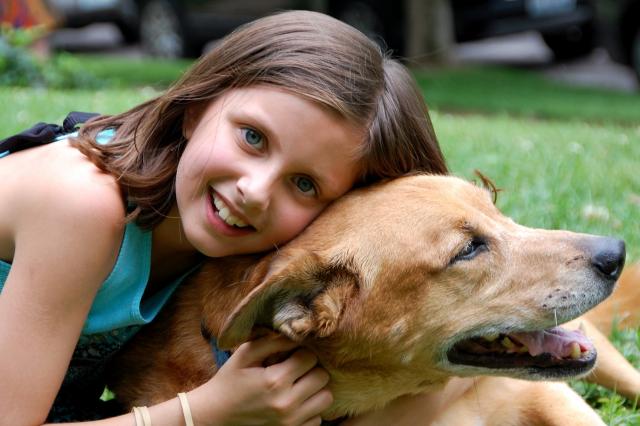 UNDERS&Ouml;KT. En ny studie visar att barn som växer upp med hund har 15 procent lägre risk att drabbas av astma när de börjar skolan. Foto Pxabay.