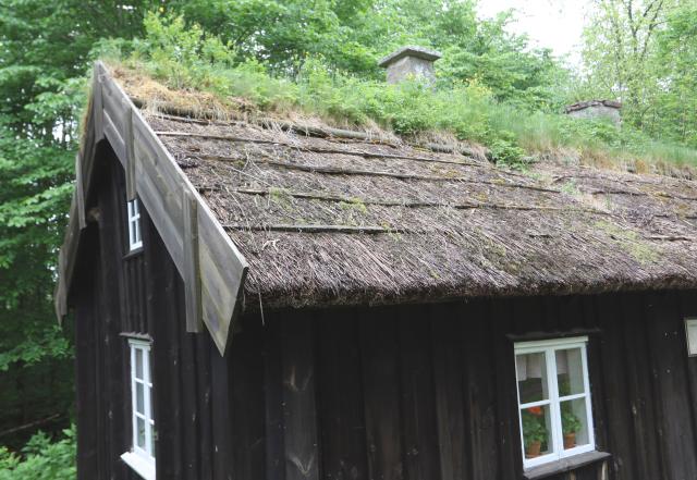 P&Aring; TAKET. Ursprungligen var det halmtak på stugorna, men långhalm från handtröskad råg finns knappt att få tag i längre. Det blev vasstak med halm och torv bara vid nocken istället. 