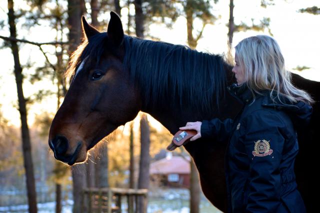 H&Auml;STFOLK. Två egna hästar hör till de boende här såklart. Trakten är ju ett hästparadis. Foto Johan Annas
